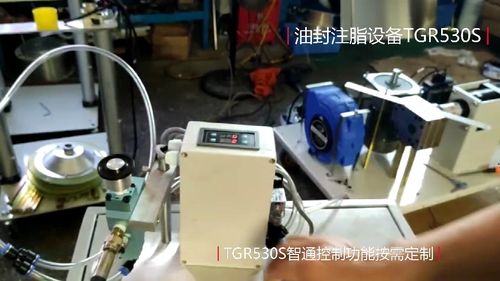 定量黃油機(jī)TGR530S 高效潤(rùn)滑脂加油設(shè)備在工廠定制與通信設(shè)備修理中的應(yīng)用